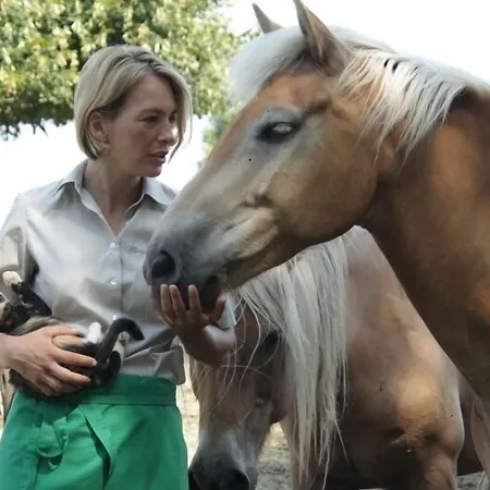 Hotel Koenigsroder Hof Karow (Mecklenburg-Vorpommern)
