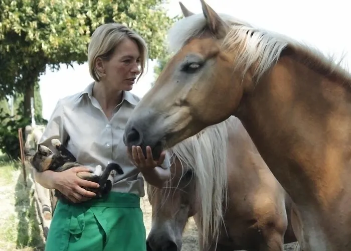 Hotel Koenigsroder Hof Karow (Mecklenburg-Vorpommern)